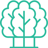 /assets/images/default/199/krupnomery.png